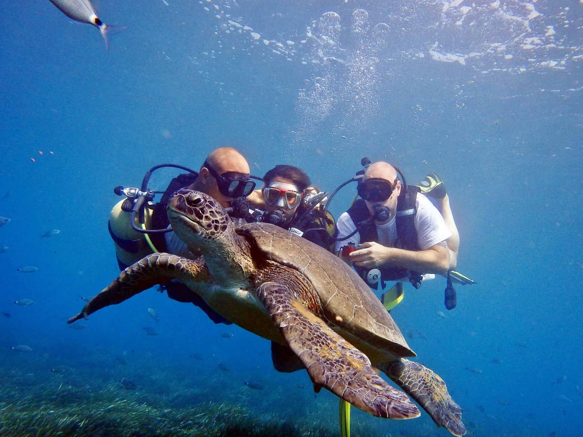 Scuba Diving